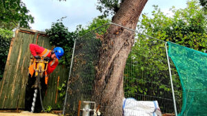 Building Surveying Seminar